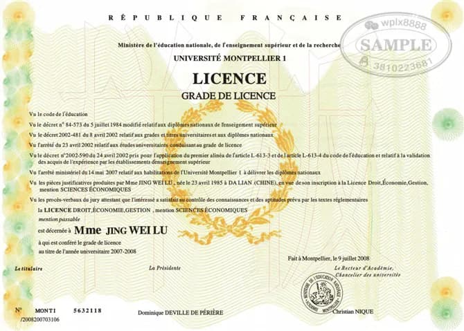法国蒙彼利埃第一大学经济学学士学位证书案例参考