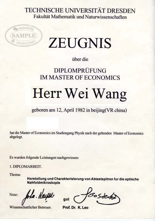 德国德累斯顿工业大学经济学硕士学位证样本