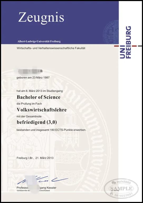 德国弗莱堡大学经济学理学学士学位证书样本案例