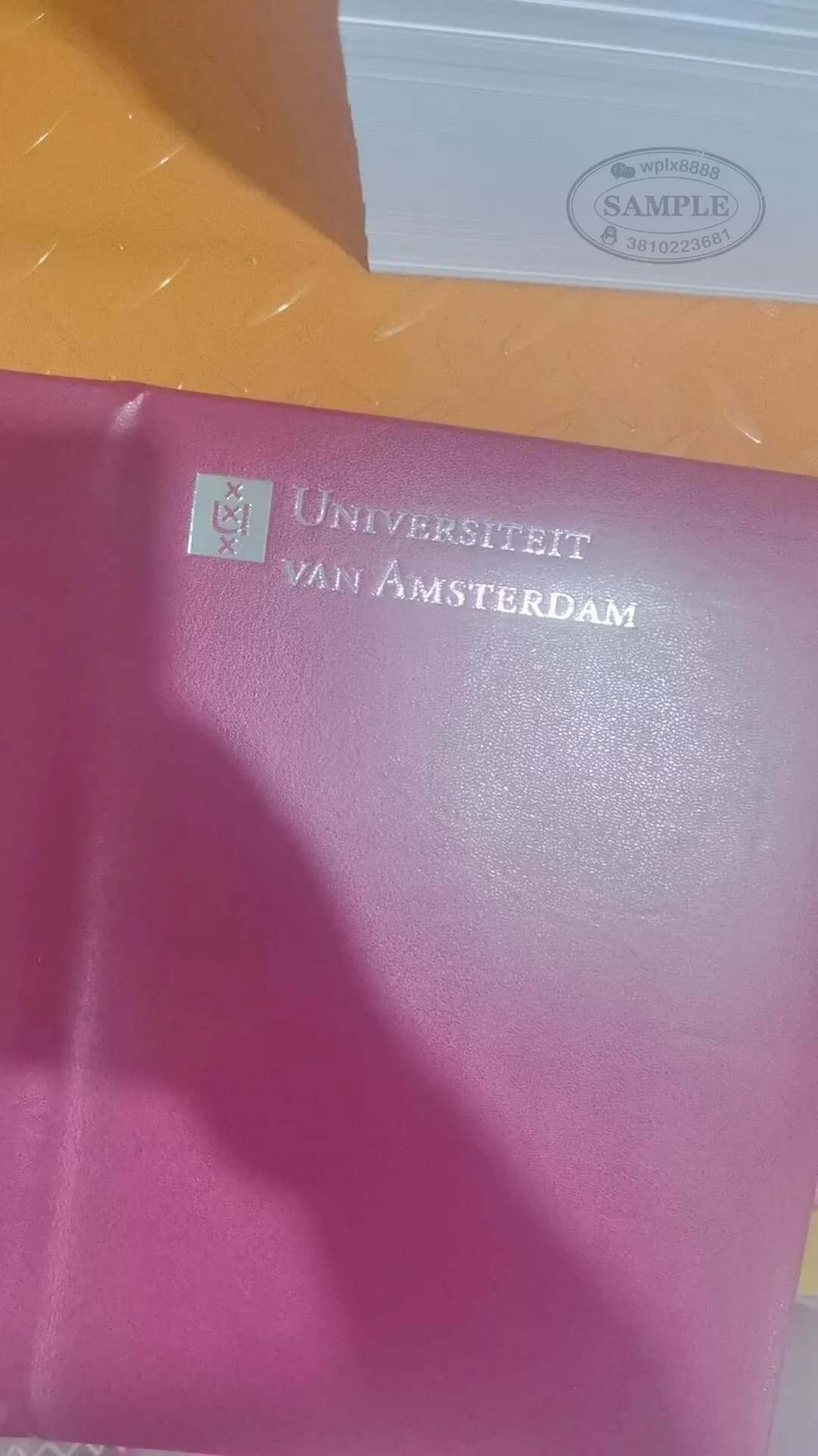 荷兰阿姆斯特丹大学学位证书封皮案例