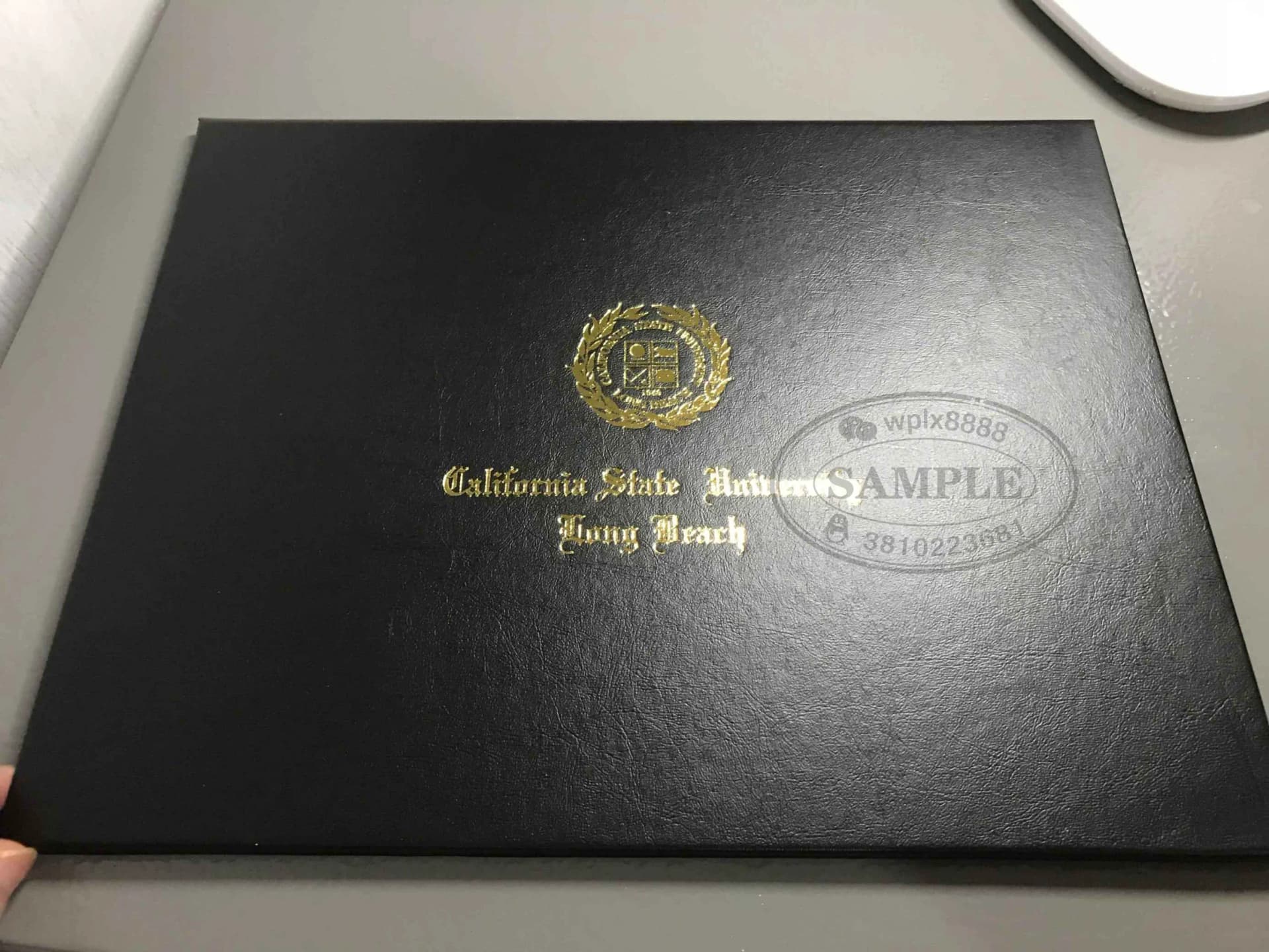加州州立大学长滩分校毕业证封皮与学位证外壳参考 加州州立大学长滩分校毕业证封皮与学位证外壳参考