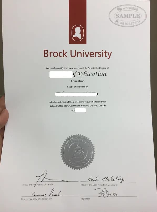 加拿大布鲁克大学教育学学位证书样本参考 加拿大布鲁克大学教育学学位证书样本参考