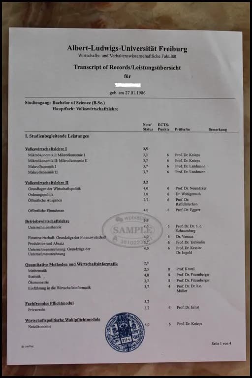德国弗赖堡大学官方成绩单样本与学历认证指南 德国弗赖堡大学官方成绩单样本与学历认证指南