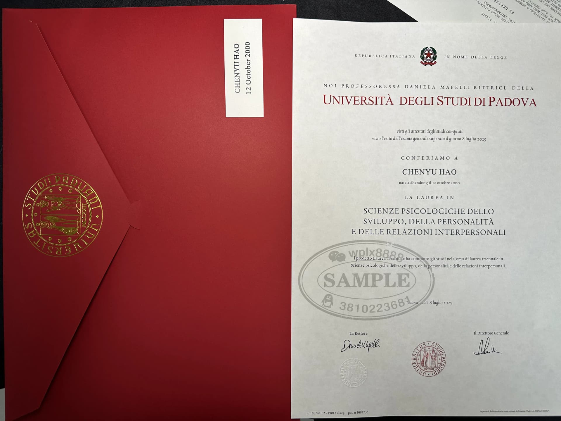 意大利帕多瓦大学心理学专业学位证书样本 意大利帕多瓦大学心理学专业学位证书样本