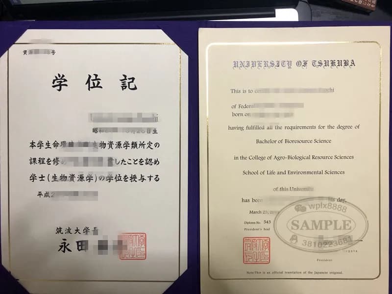日本筑波大学学位记样本与生物资源学士学位证参考 日本筑波大学学位记样本与生物资源学士学位证参考
